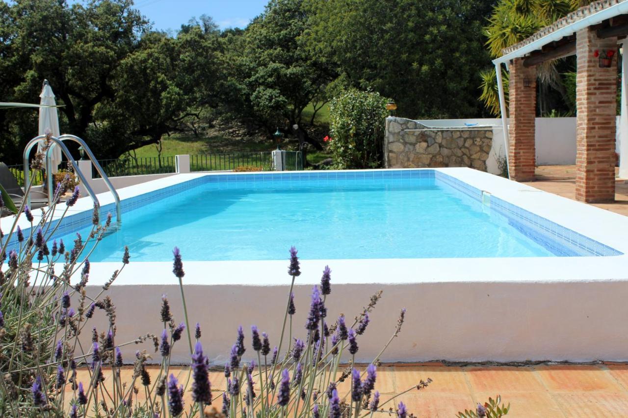 La Quinta Casa Com Piscina Privada Villa Loulé Dış mekan fotoğraf