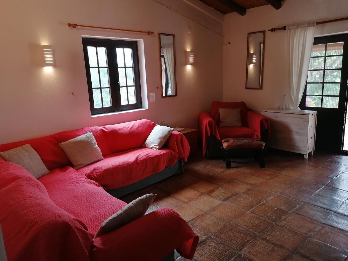 La Quinta Casa Com Piscina Privada Villa Loulé Dış mekan fotoğraf